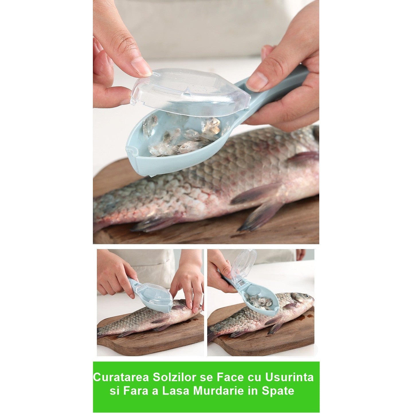 Curatator Manual Solzi de Peste, Klevo, Forma Peste , Recipient cu Capcac pentru Solzi, Plastic, Albastru deschis, 16x6 cm