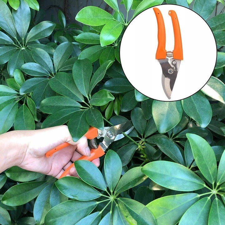 Set 12 Unelte de Gradina, Klevo, pentru Plantare Prelucrare Sol si Ingrijire Plante, Manere Portocalii, Material PVC si Cardboard, Cutie Inclusa, 37x28 cm, Negru