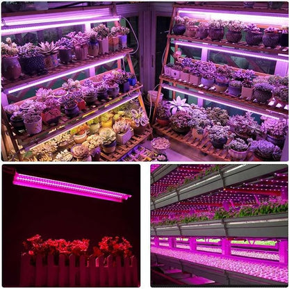 Lampa dubla pentru cresterea plantelor Klevo, 50 cm, T5, tehnologie LED, nu afecteaza plantele, potrivit pentru intregul ciclu de crestere