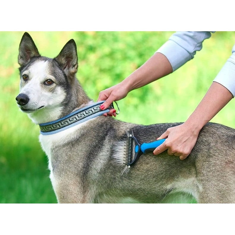 Pieptene pentru Părul de Animale, Klevo, Dispozitiv de Îngrijire cu Două Fețe, Îndepărtarea părului, Albastru