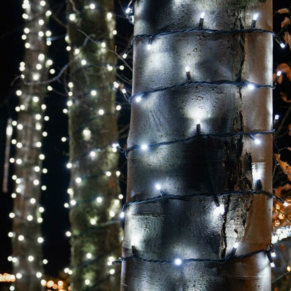Instalatie Craciun Profesionala de Exterior IP65, 20 m, 200 Led-uri Mari ,Liniara, Alb rece, Interconectabila, Prelungitor 1.5 m inclus, Fir Negru, Klevo
