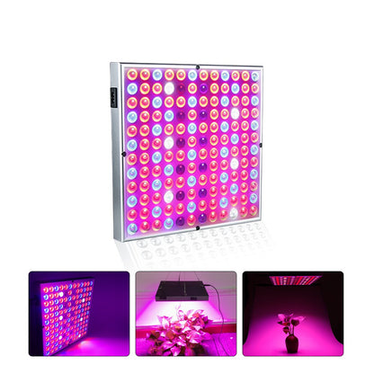 Lampa LED 45W Klevo, pentru cresterea plantelor in interior, 225 de leduri, 165 leduri rosii, 60 albastre, 30 x 30 cm, multicolor