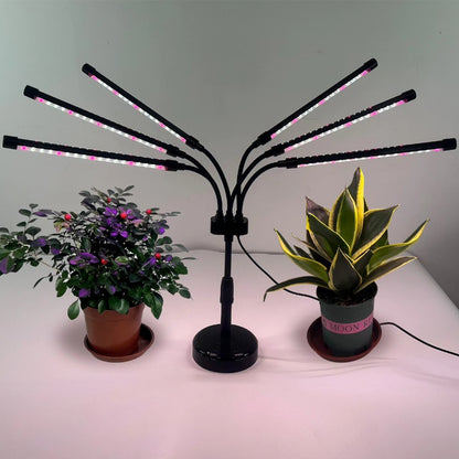 Lampa UV pentru cresterea plantelor, Klevo, conectare la retea, 30W, 6 capete, 108 LED-uri, ajustabila pana la 68.5 cm, Lumina Alb Mov