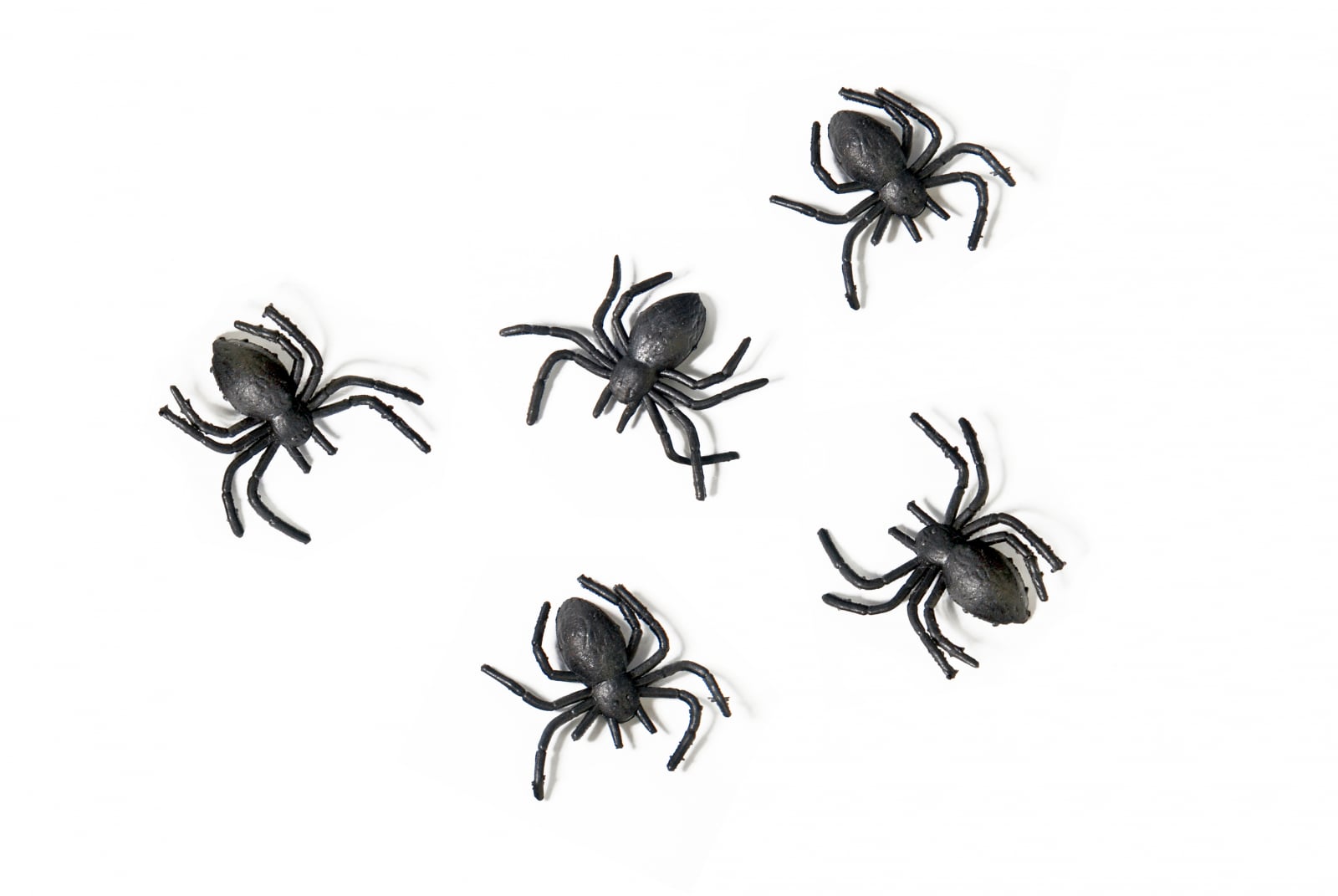 Paianjeni de plastic, negri (1 buc. / 10 buc.)