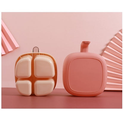 Recipient pentru condimente Klevo, 4 casute, potrivit pentru sare, cimbru, piper, condimente, 4 lingurite din plastic, capac din plastic, maner, 14x14x8 cm, roz