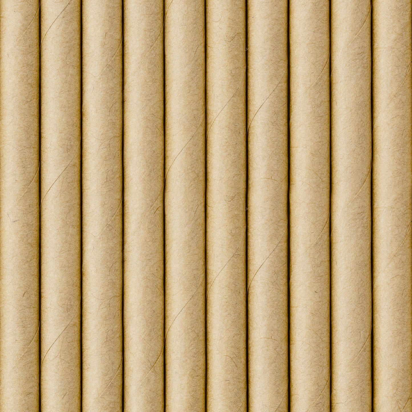 Set 10 paie kraft, 19.5cm
