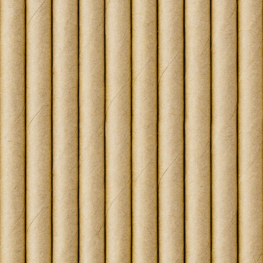Set 10 paie kraft, 19.5cm