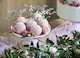 Set 6 Decoratiuni prajituri, PartyDeco, Argintiu, 13 cm